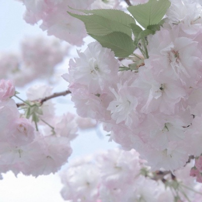 Furry插画灵感合集兽圈社群